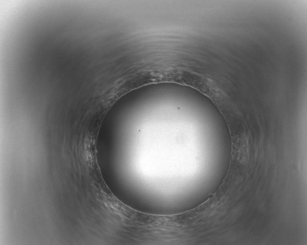 X0000064730770200602131249