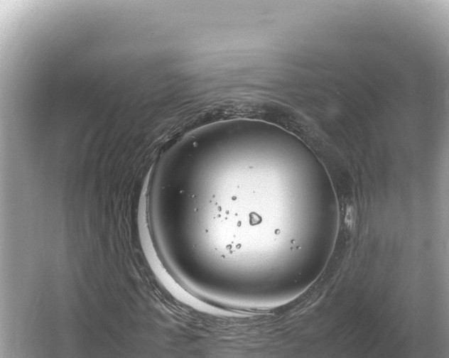 X0000064730771200602131249