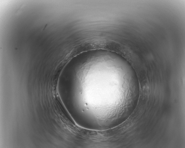 X0000064730772200602131249