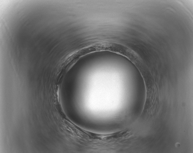 X0000064730773200602131249