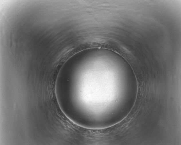 X0000064730774200602131249