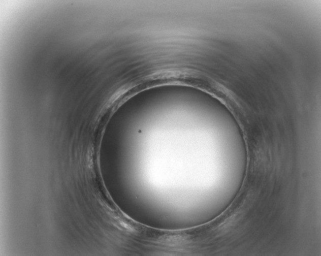 X0000064730778200602131249