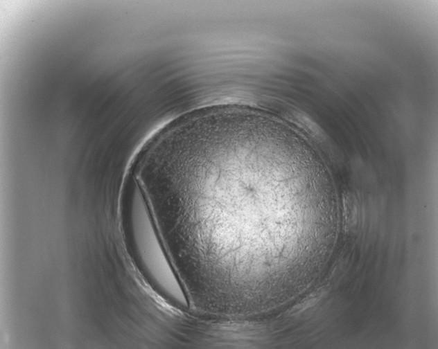 X0000064730780200602131249