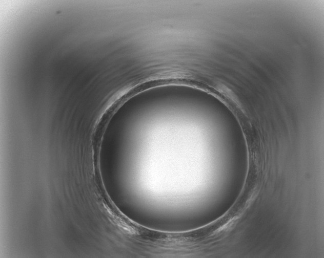 X0000064730781200602131249