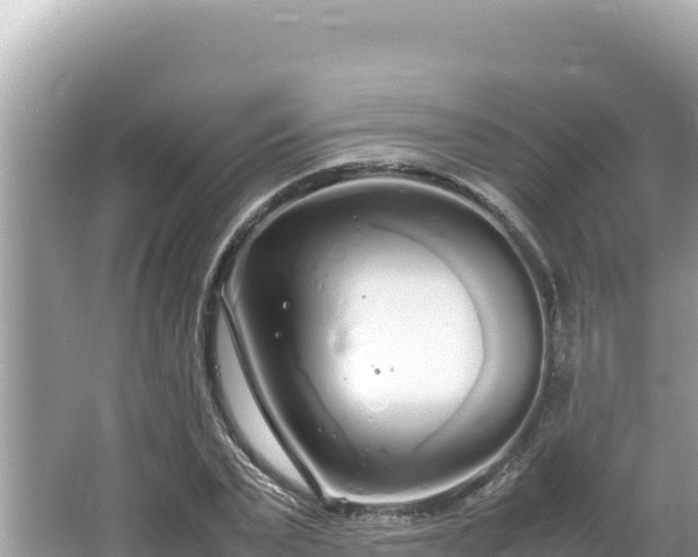 X0000064730783200602131249