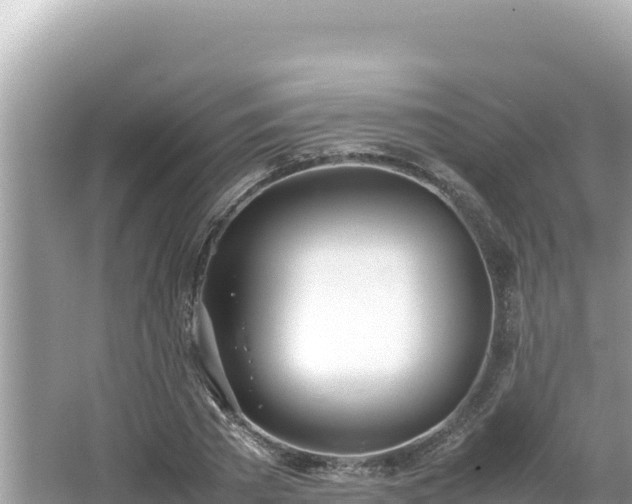 X0000064730785200602131249