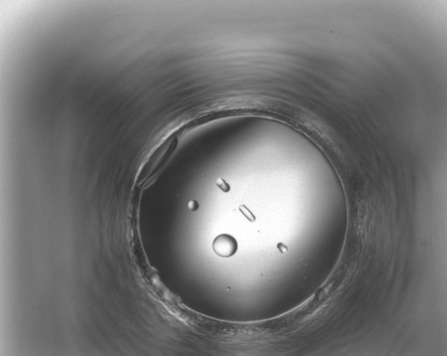 X0000064730786200602131249