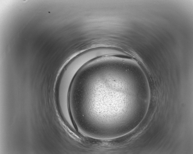 X0000064730787200602131249