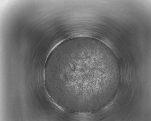 X0000064730790200602131249