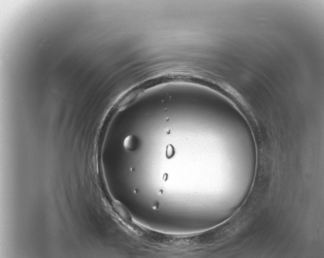 X0000064730791200602131249