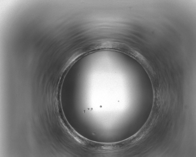 X0000064730794200602131249