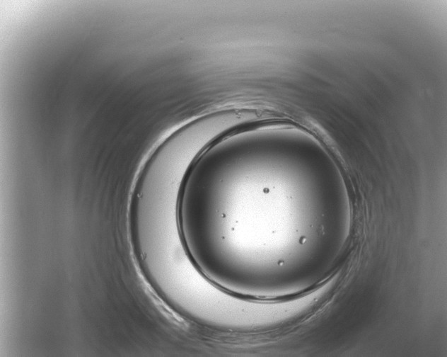 X0000064730795200602131249