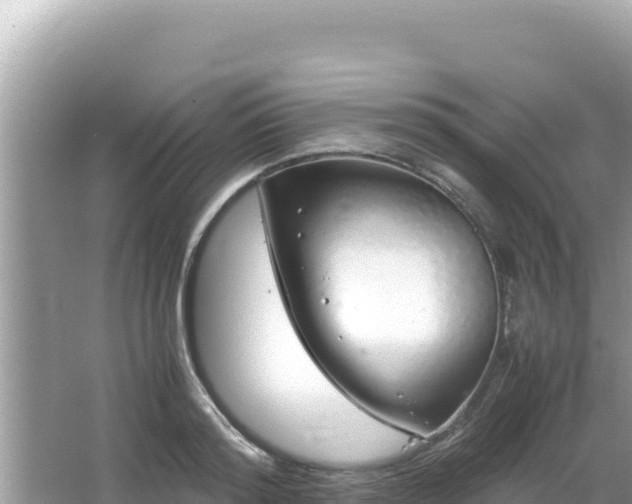 X0000064730796200602131249