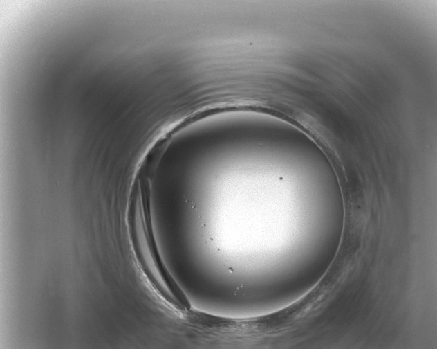 X0000064730797200602131249