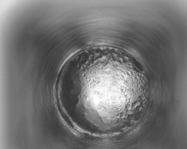 X0000064730798200602131249