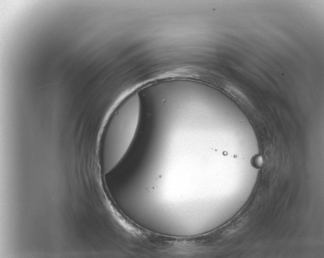 X0000064730800200602131249