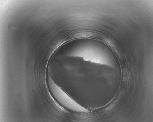 X0000064730802200602131249