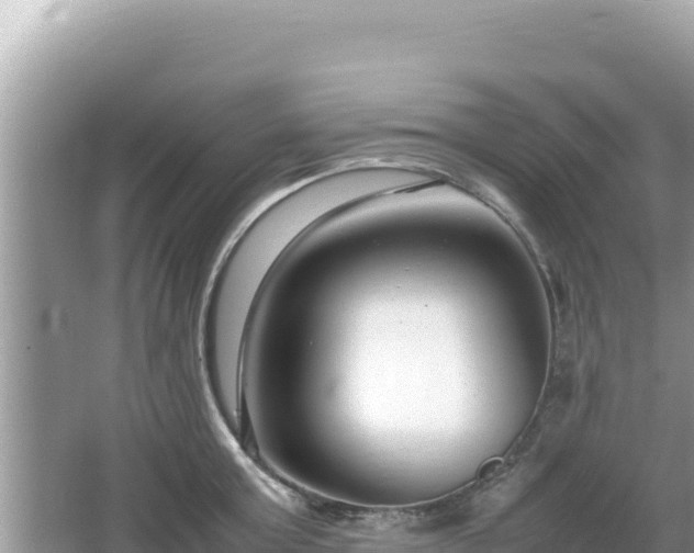 X0000064730803200602131249