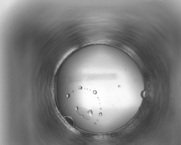 X0000064730804200602131249