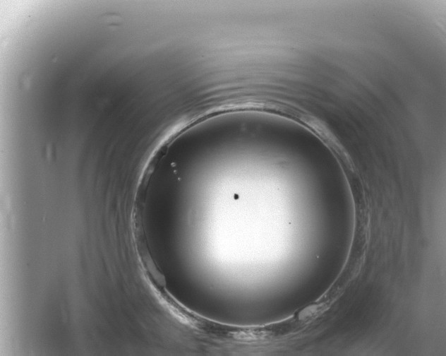 X0000064730805200602131249