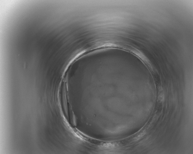 X0000064730806200602131249