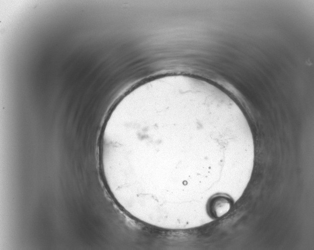 X0000064730807200602131249