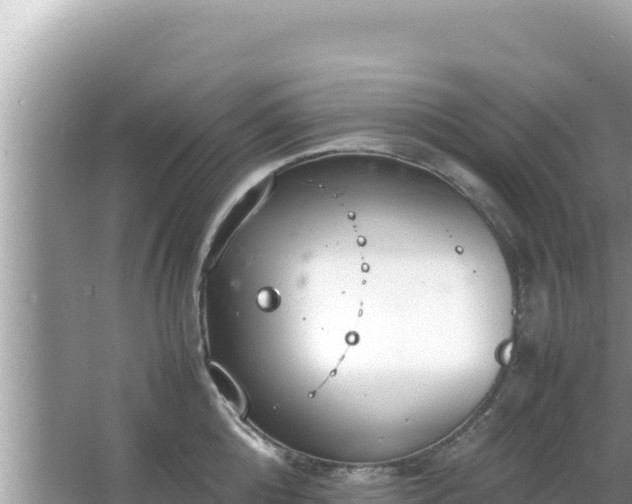 X0000064730808200602131249