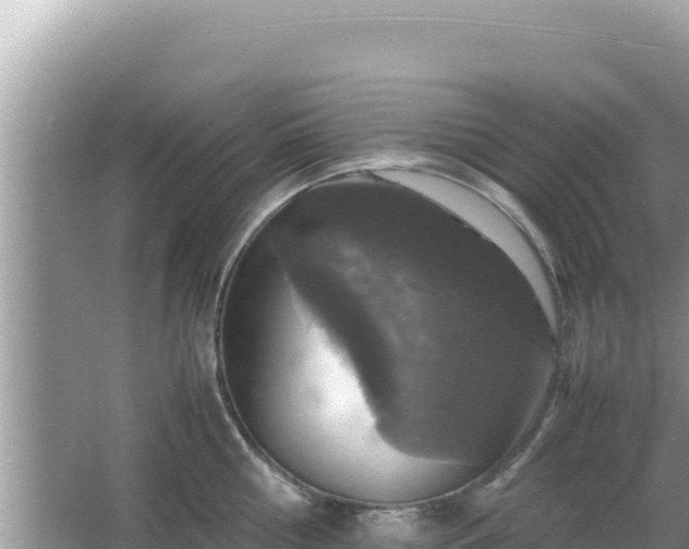 X0000064730810200602131248