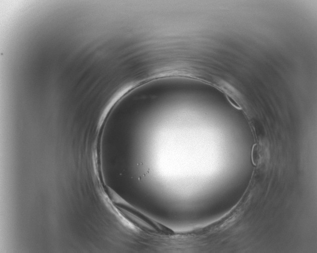 X0000064730812200602131248