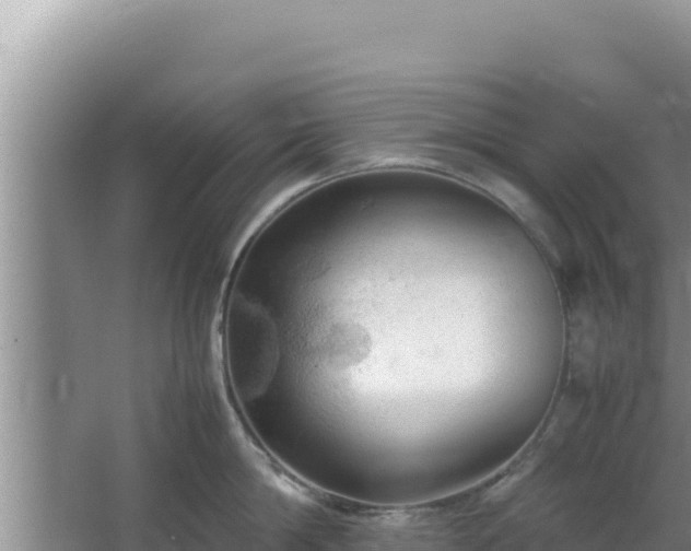 X0000064730814200602131248