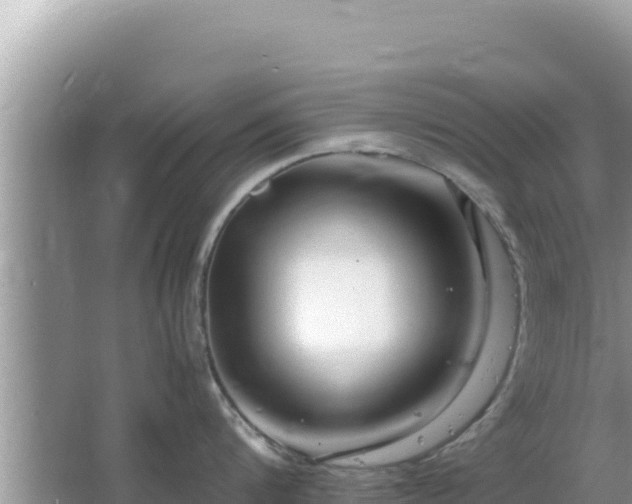 X0000064730816200602131248