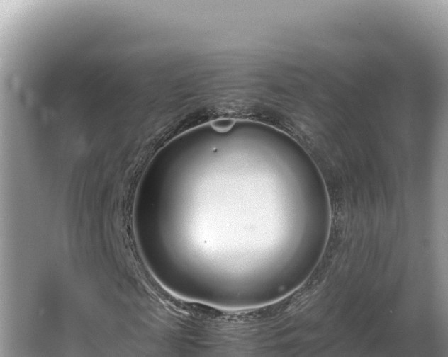 X0000064730817200602131248