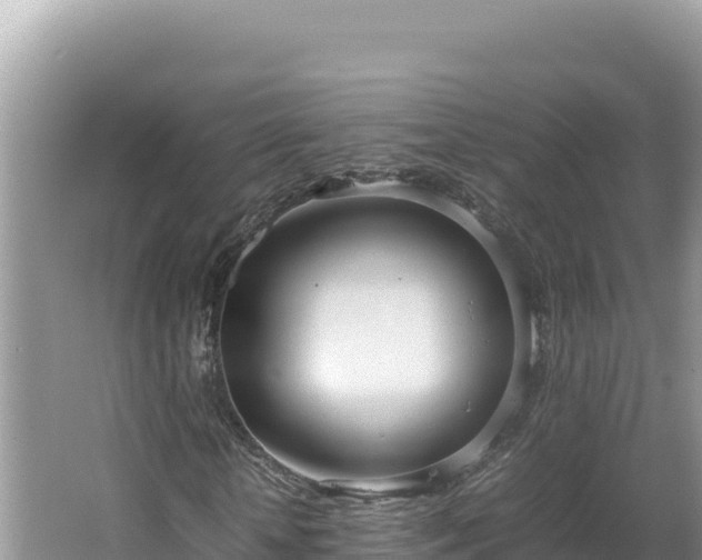 X0000064730818200602131248