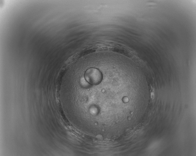 X0000064730819200602131248