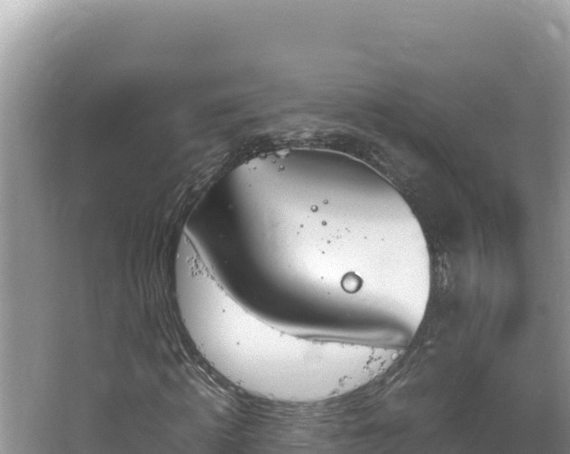 X0000064730820200602131248