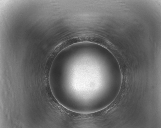 X0000064730822200602131248