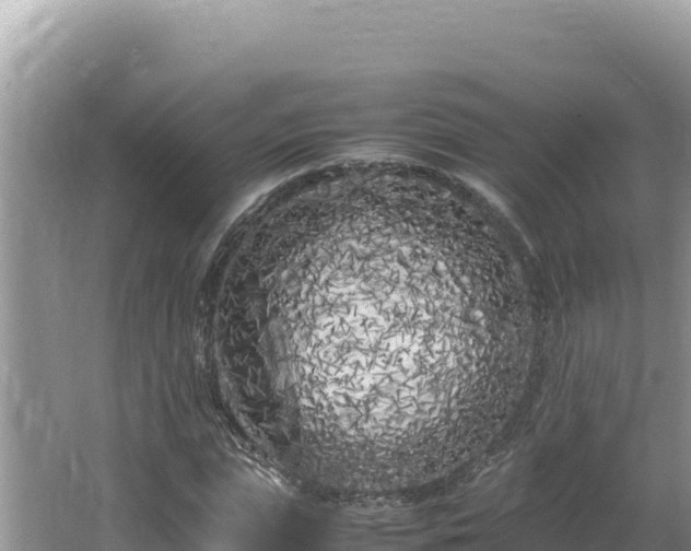 X0000064730823200602131248