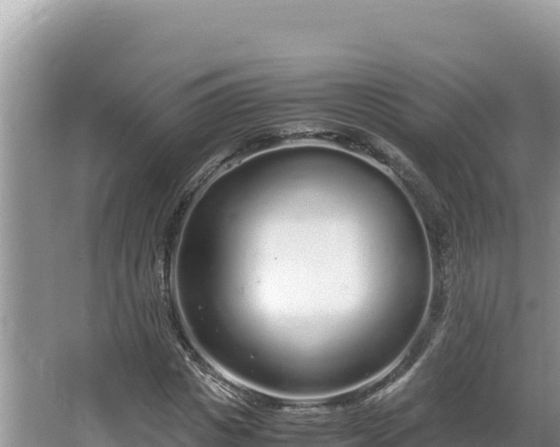 X0000064730825200602131248