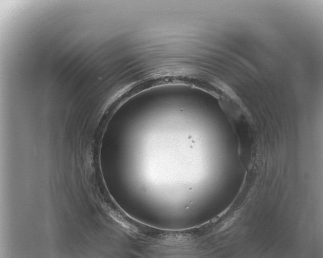 X0000064730826200602131248