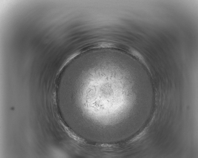 X0000064730827200602131248