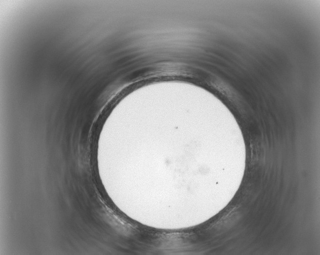 X0000064730828200602131248