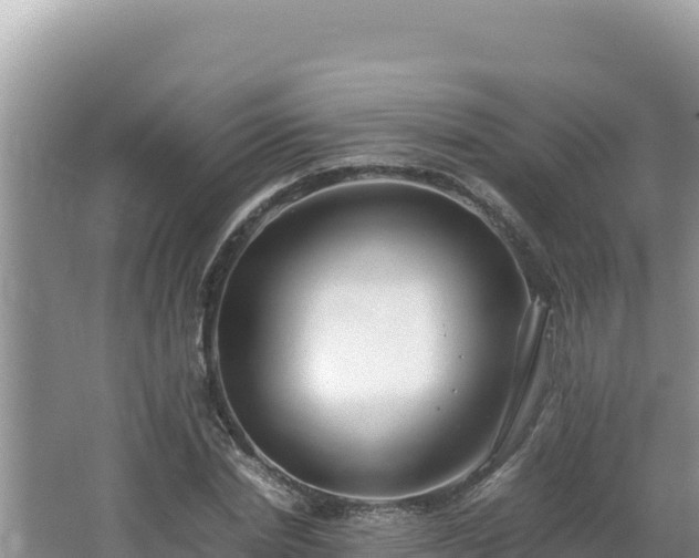 X0000064730830200602131248