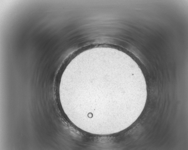 X0000064730832200602131248