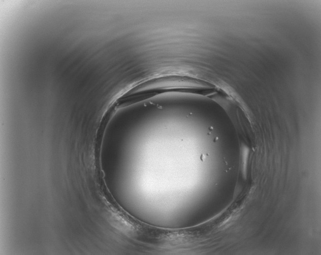 X0000064730834200602131248