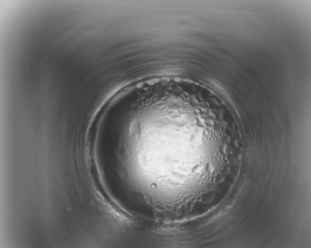 X0000064730835200602131248