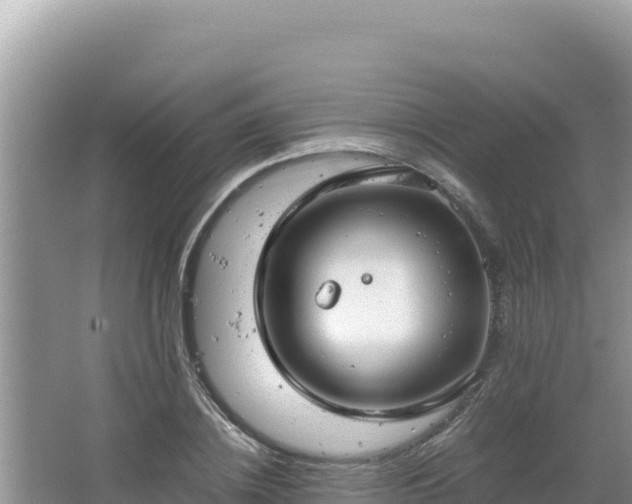 X0000064730836200602131248