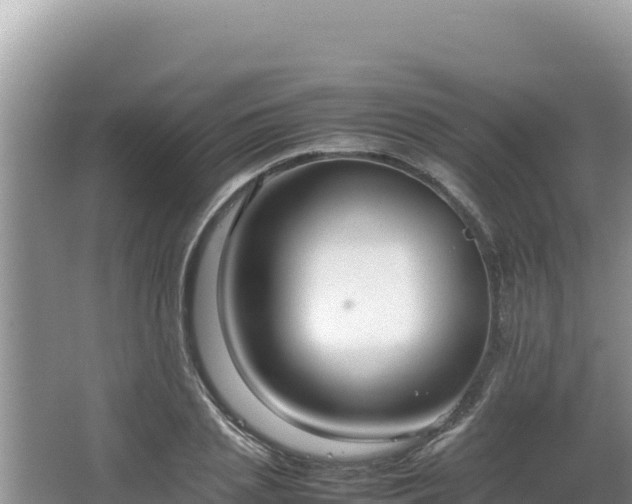 X0000064730837200602131248