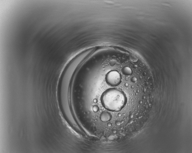 X0000064730839200602131248