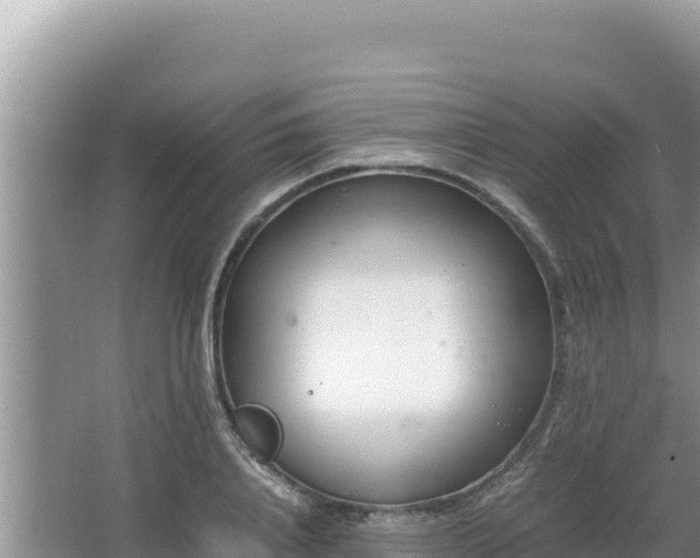 X0000064730840200602131248