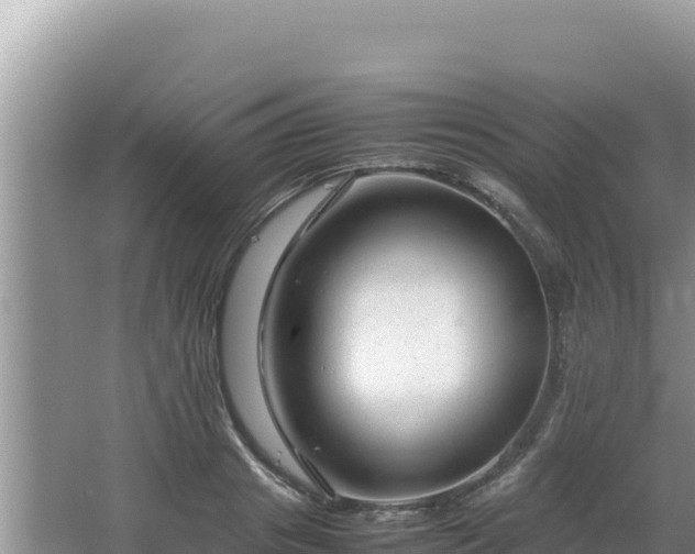 X0000064730841200602131248